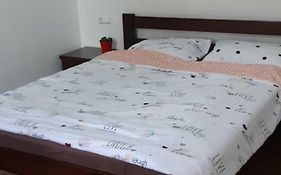 Transfer Apartment